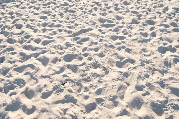 Detail of texture sand in tropical island Summer background and travel design High Quality Detail Of Curve sand textureFootprints on sand beach