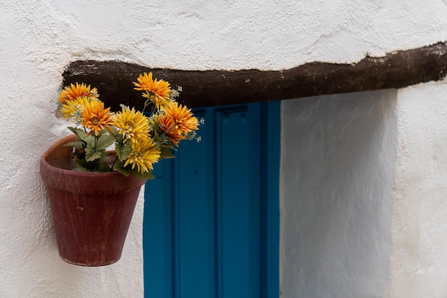青いドアと植物のあるマラガの典型的な町の詳細
