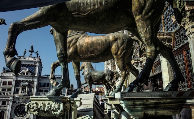 Detail van bronzen beelden van paarden gevonden in de kerk van San Marco in Venetië.
