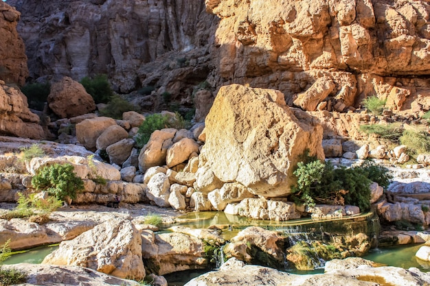 Detail van de Wadi Shab in Oman