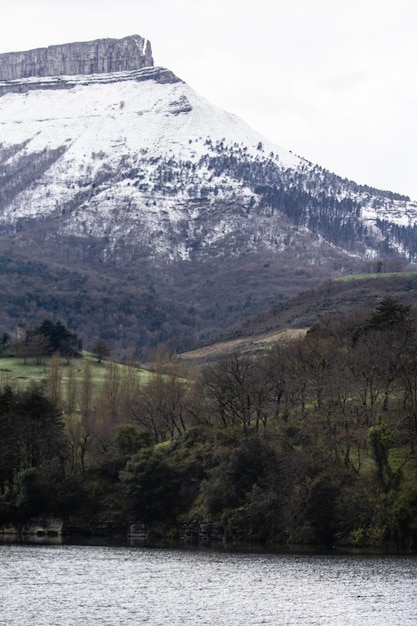 Foto detail van een besneeuwd landelijk landschap met een besneeuwde berg op de achtergrond