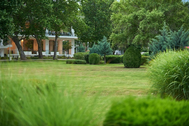 Detail van een botanische tuin