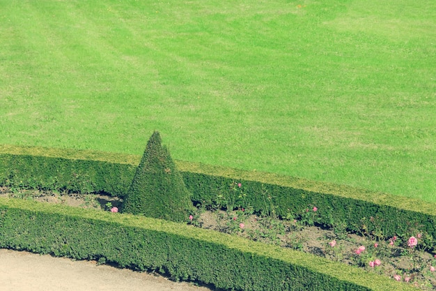 Detail van een gazon met bloembed van geknipte planten en bloemen