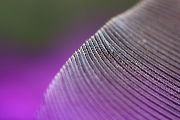 Detail van het bloemplaatje