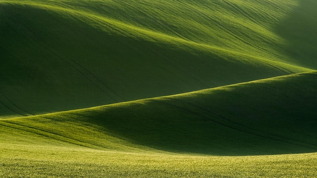 Detail van Zuid-Moravische veld Tsjechië