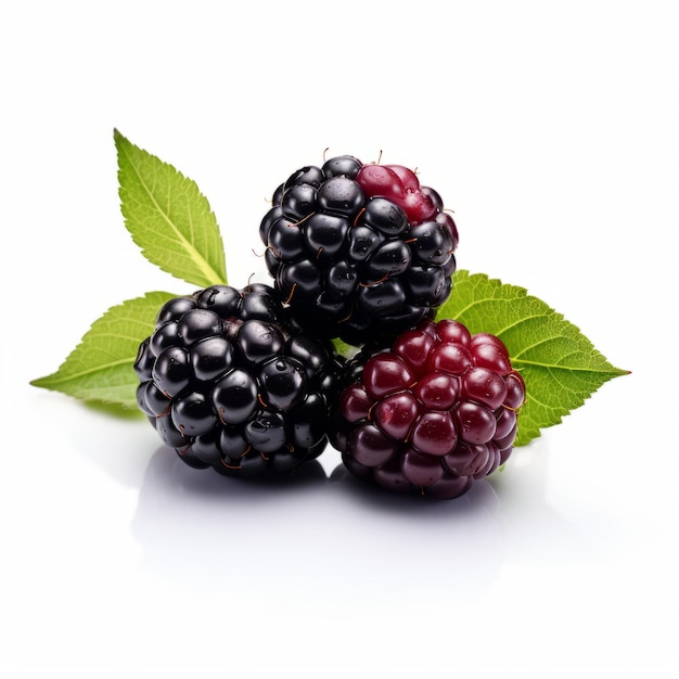 Detailed 8k Photo Of Blackberry On White Background