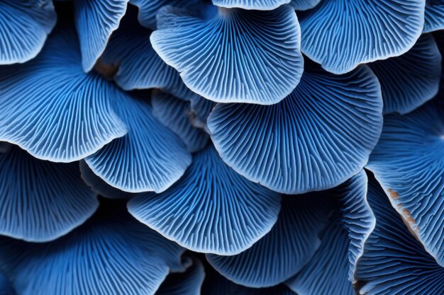 Photo detailed blue mushroom closeup background generate ai