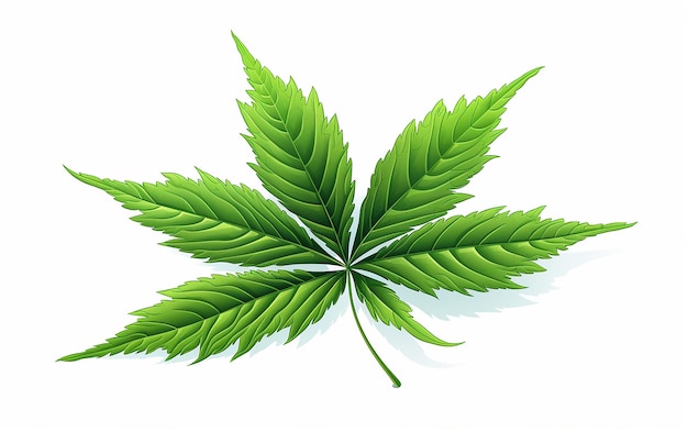 Detailed cannabis leaf vector illustration
