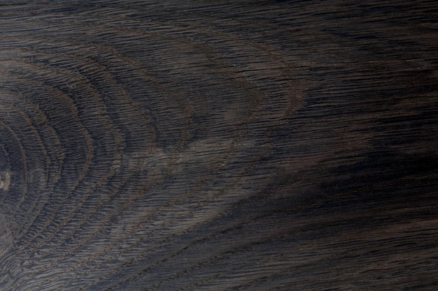 Detailed close-up of black wood oak texture background. High resolution photo.