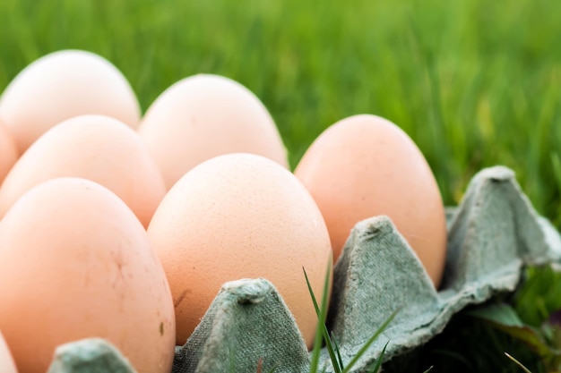 A detailed close up of Paper Pulp Egg Tray with eggs