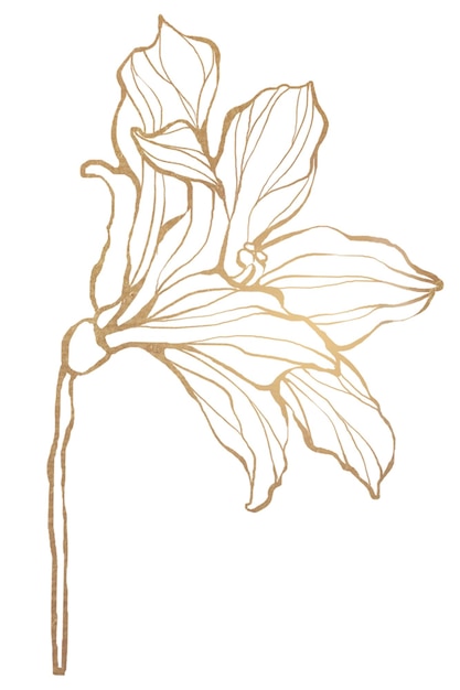 Detailed golden leaves transparent pg