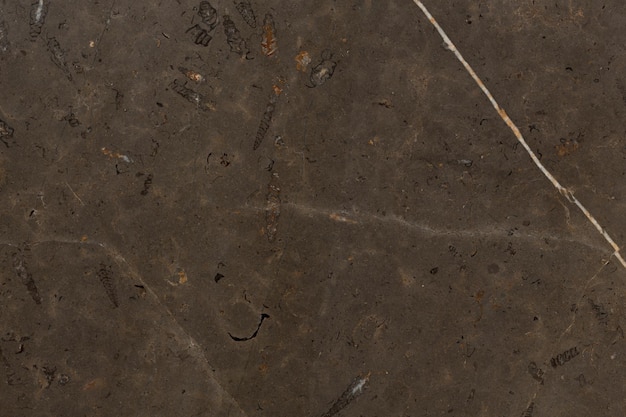 Detailed structure of luxury brown marble in natural patterned for background and design High resolution photo