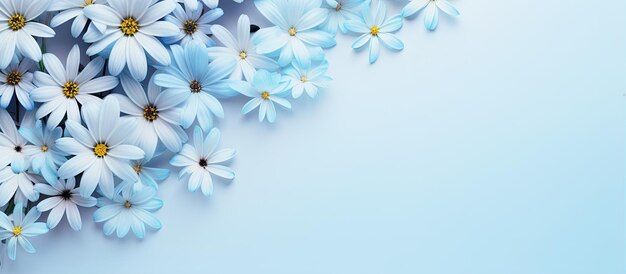 Detailed view of blue blossoms isolated pastel background copy space