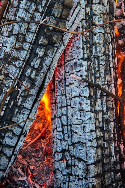 Detailed view of two ashen logs with red embers and tiny orange and yellow flames