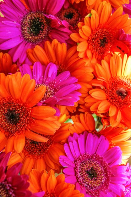 Detailfoto van een roze bloem