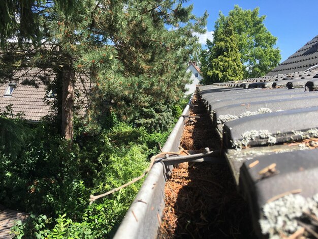 Foto detailfoto van het dak tegen bomen