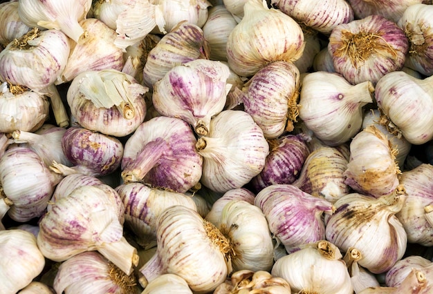 Detailfoto van knoflookbollen