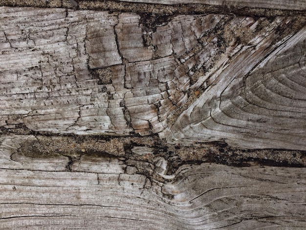 Detailfoto van ruw hout