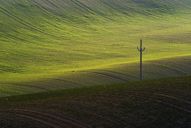 Detaillandschap op het Zuid-Moravische veld tijdens de lente van Tsjechië