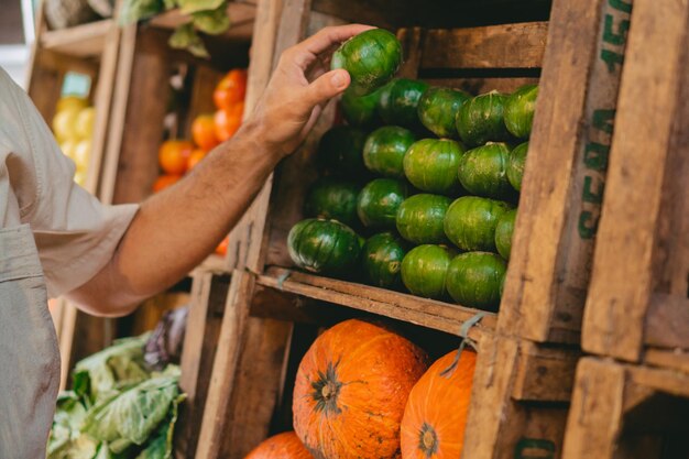 Detailopname van de arm van een groenteboer die een ronde courgette in een krat schikt die hij als plank in zijn winkel heeft staan