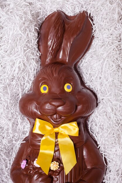 Photo details of a big chocolate bunny