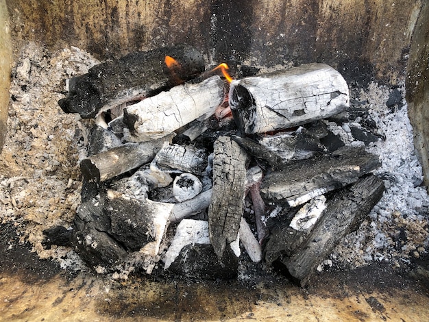 Details of charcoal for barbecue at picnic