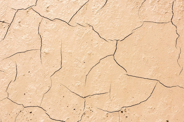 Details of a dried cracked earth soil background