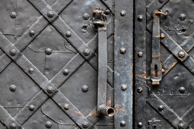 Details, and ornaments of wrought iron fence with gate.