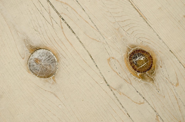 Details of a pale log with two knots of wood separated by a crack in it