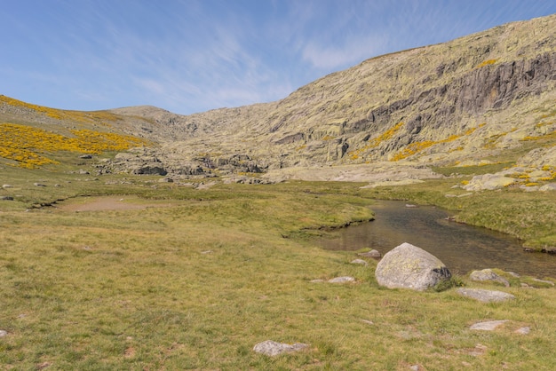 Details of the Park of Gredos