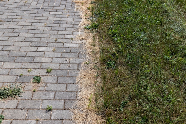 タイルから草が生え、道路のタイル部分の継ぎ目が草や他の植物によって破壊されている道路の詳細