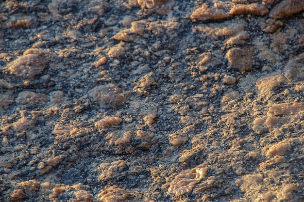브라질 리우데자네이루에서 일출 시 모래가 있는 바위의 세부 사항