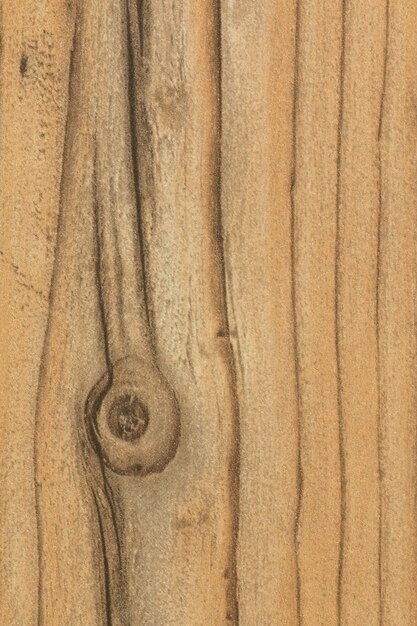 Details of a rustic wood grain