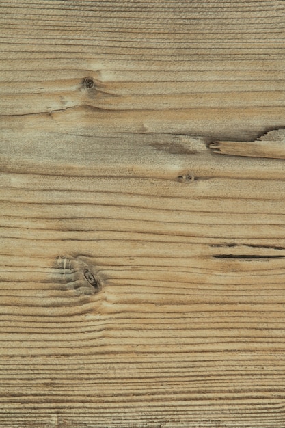 Details of a rustic wood grain