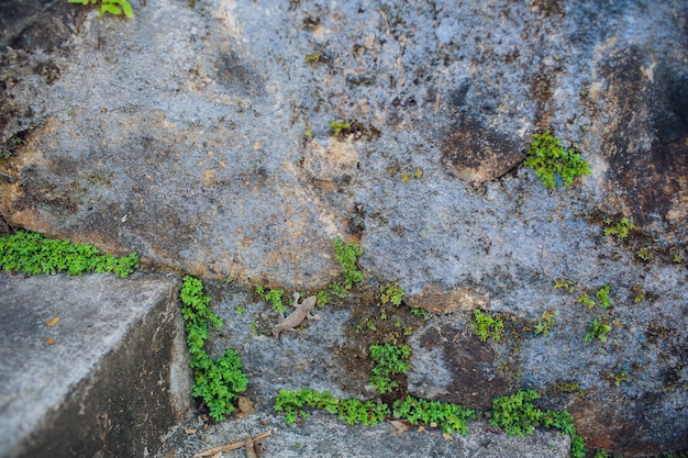 Details of sand stone texture