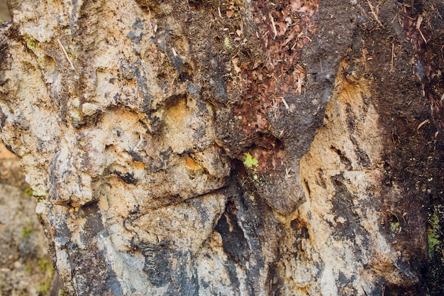 Details of sand stone texture