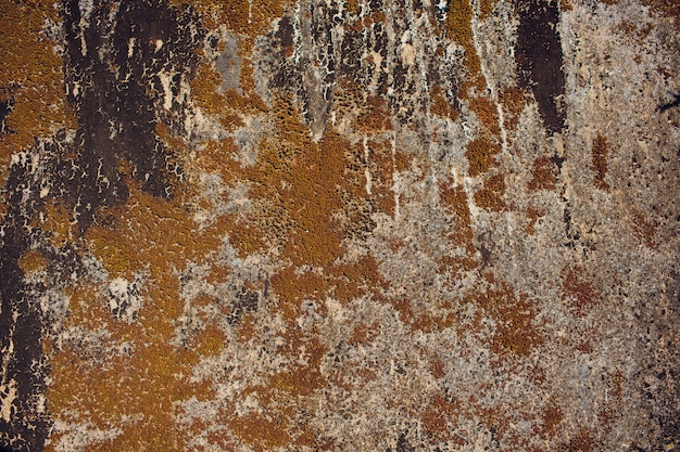 details of sand stone texture
