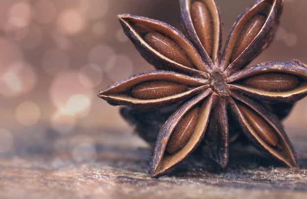 Details in star anise