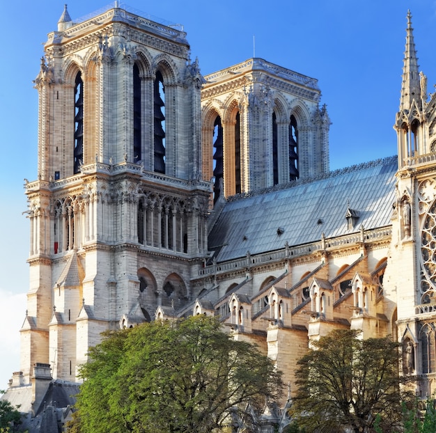 Details van Notre Dame de Paris Cathedral.France.