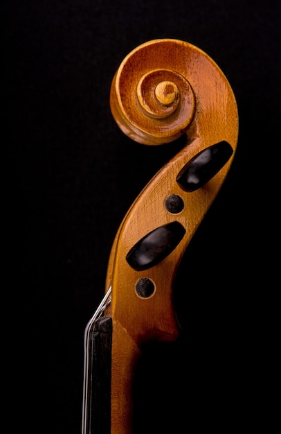 Details of violin head