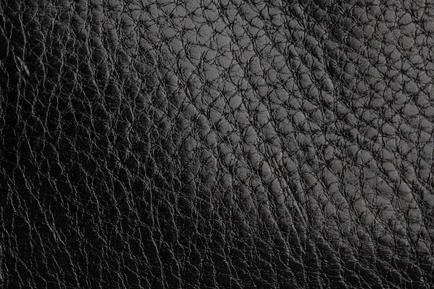 детали женской стильной сумки из черной натуральной кожи, рюкзак, изолированные
