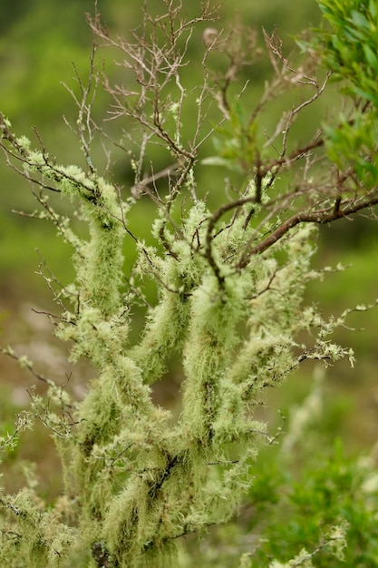 植物園の詳細