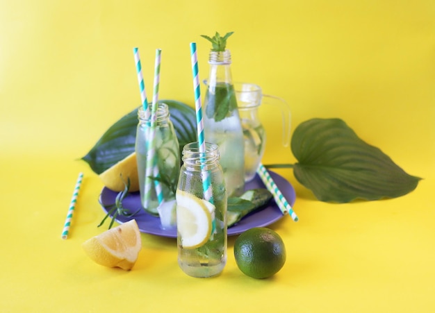 Detox water from citruses mint leaves tarragon and cucumber slices in glasses