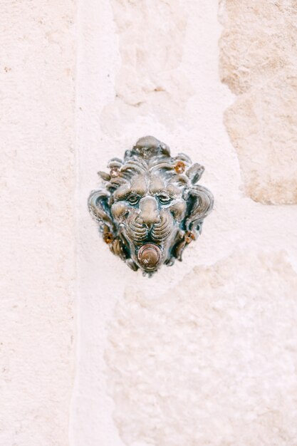 Deurbel snuit van een leeuw op een witte achtergrond in een stenen muur