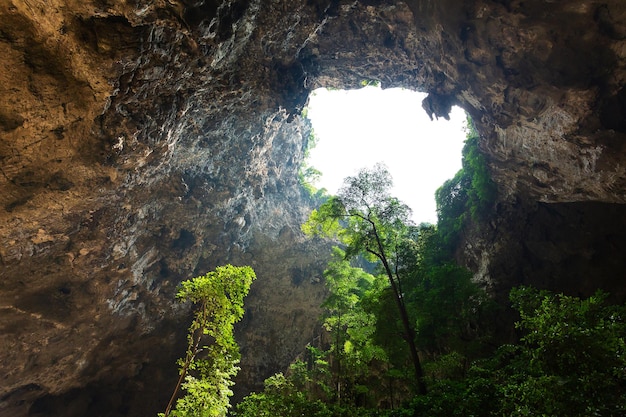 Devetashka grote karstgrot in het natuurlandschap van bulgarije