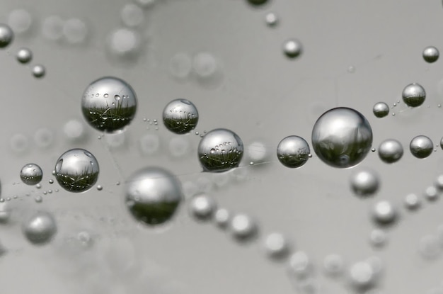 dew drop for abstract wallpaper