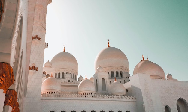 dhabi temple