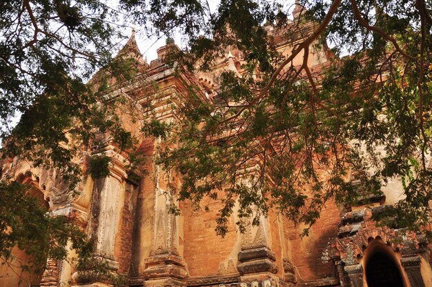 Dhammayangyi paya paya temple pagoda chedi for burmese people and foreign travelers travel visit respect praying buddha worship in Bagan or Pagan Heritage ancient city in Mandalay of Myanmar or Burma