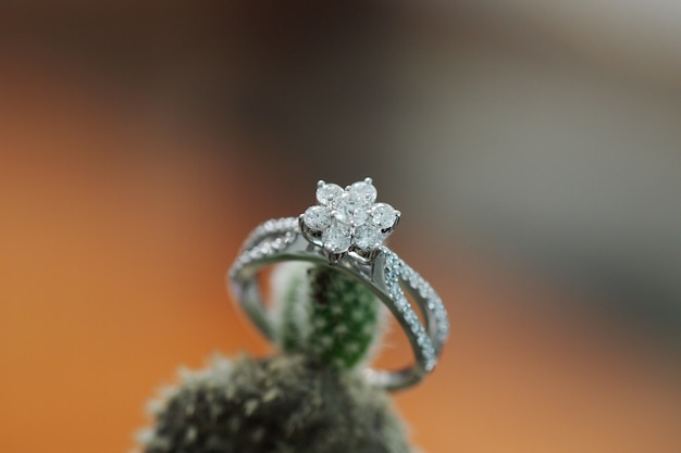 Foto diamanten ring op cactus