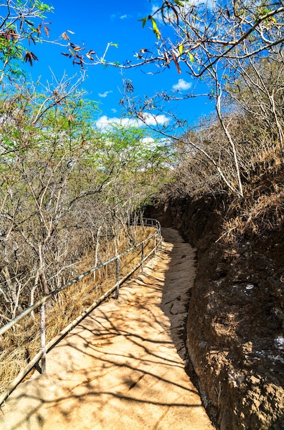 Diamond head lookout trail on oahu island in hawaii